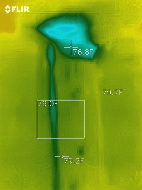 photo of a ceiling as seen by a thermal imaging device showing water leakage